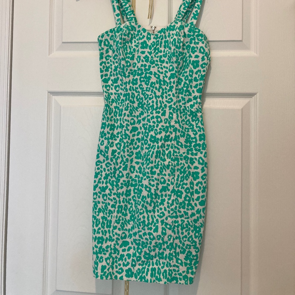 Body Central stretch dress green and white design